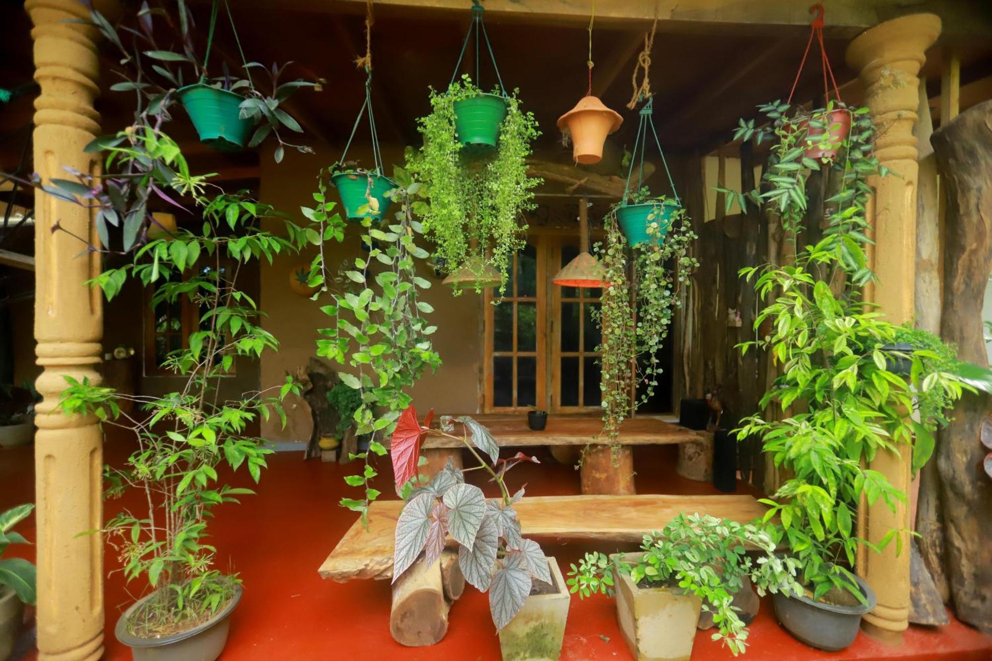 Dinna Nature Hostel Sigiriya Bagian luar foto