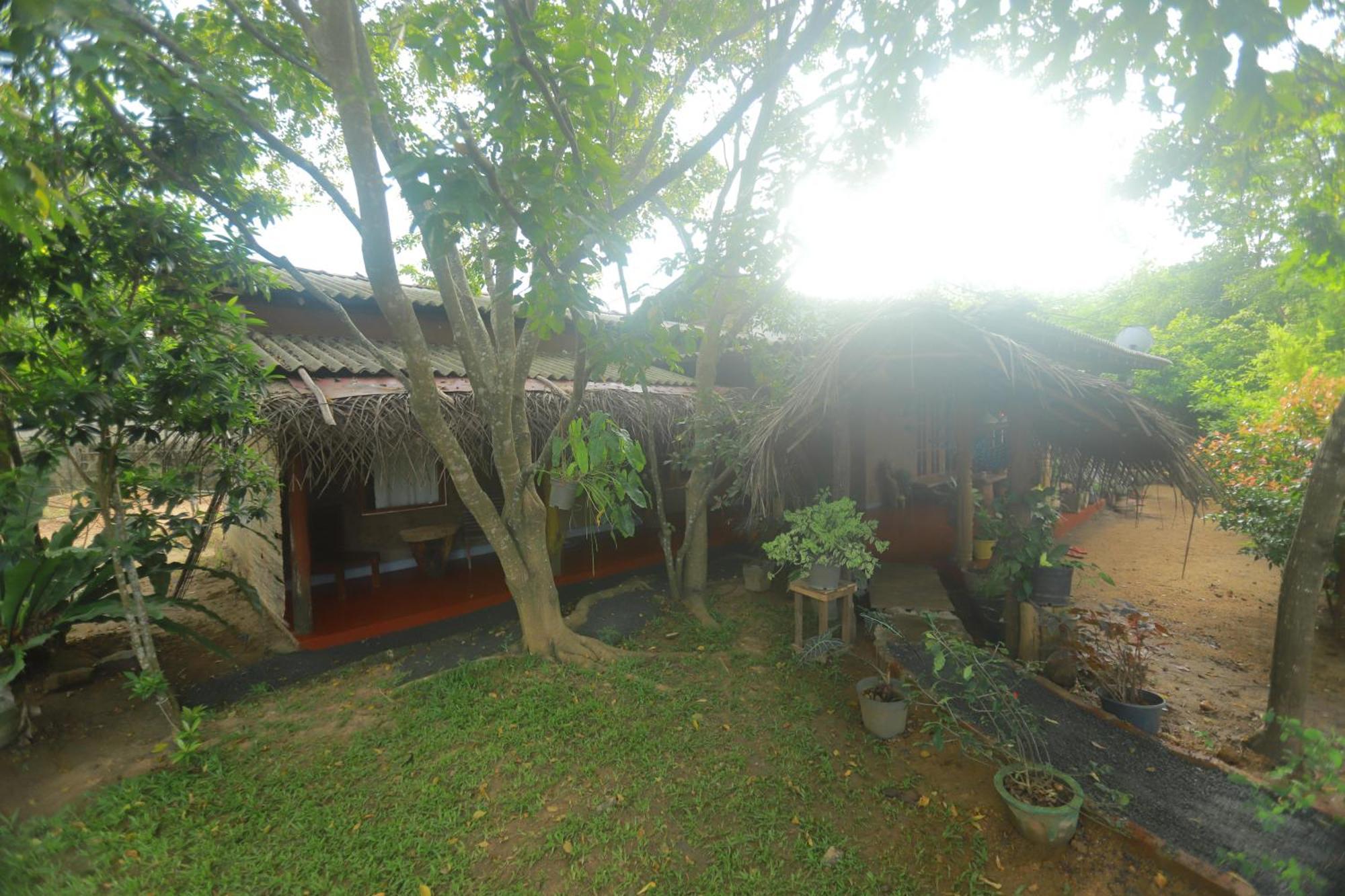 Dinna Nature Hostel Sigiriya Bagian luar foto